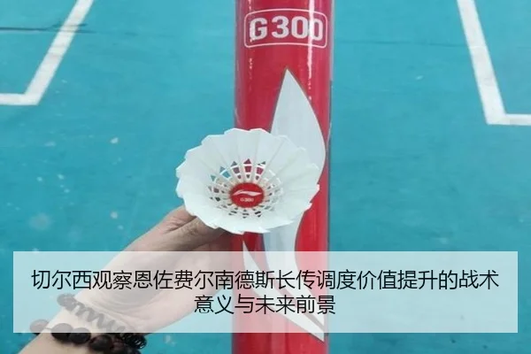 切尔西观察恩佐费尔南德斯长传调度价值提升的战术意义与未来前景 | kaiyun